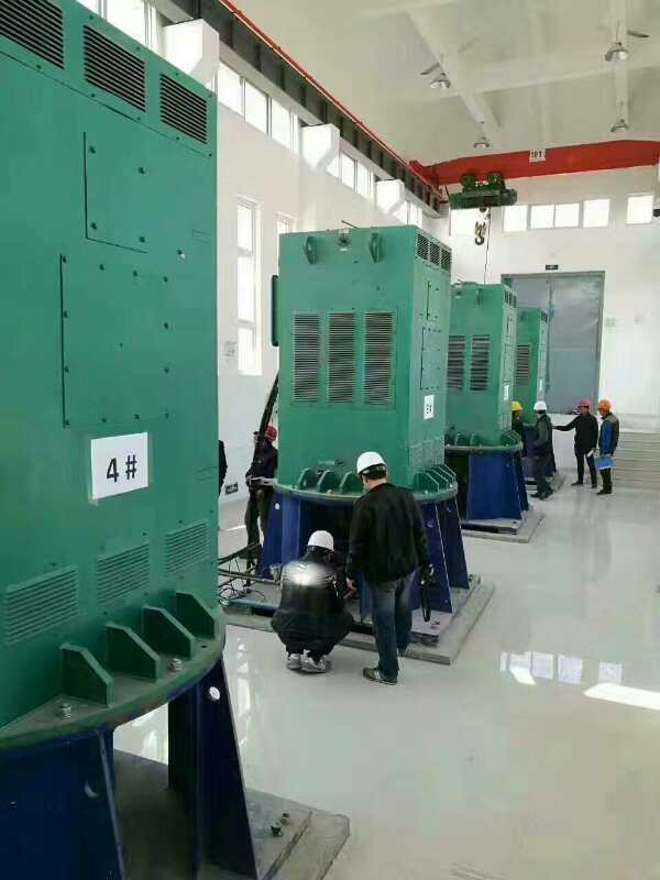 上林某污水处理厂使用我厂的立式高压电机安装现场